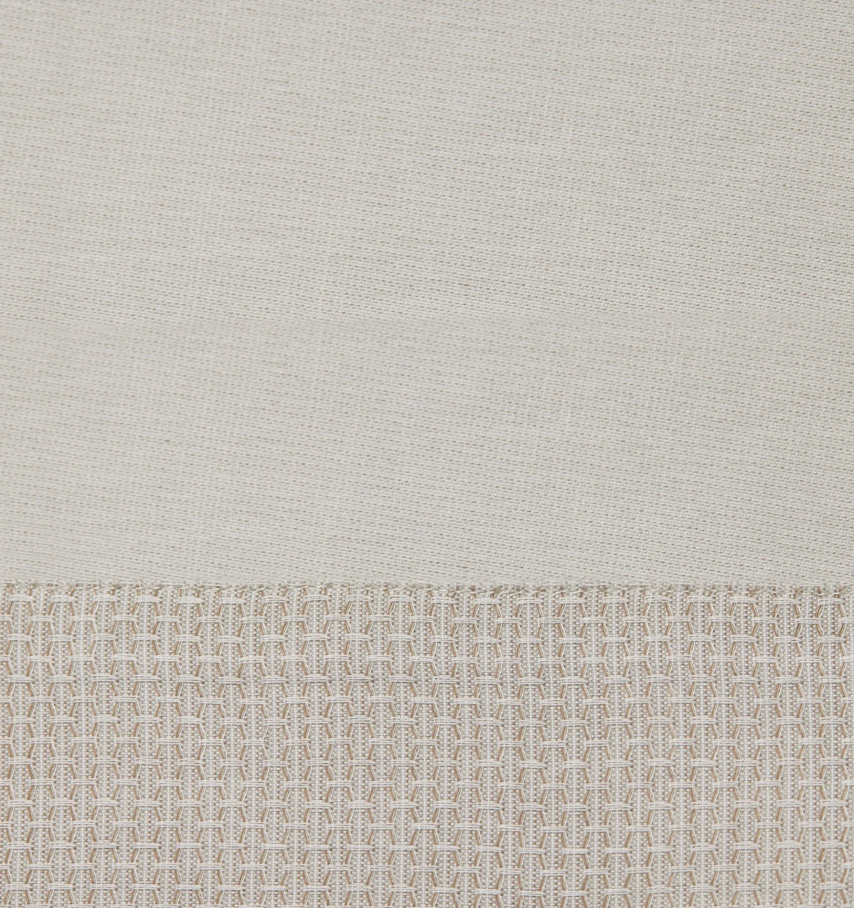 Carlotta Collection