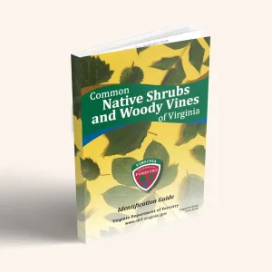 Common Native Shrubs and Woody Vines of Virginia