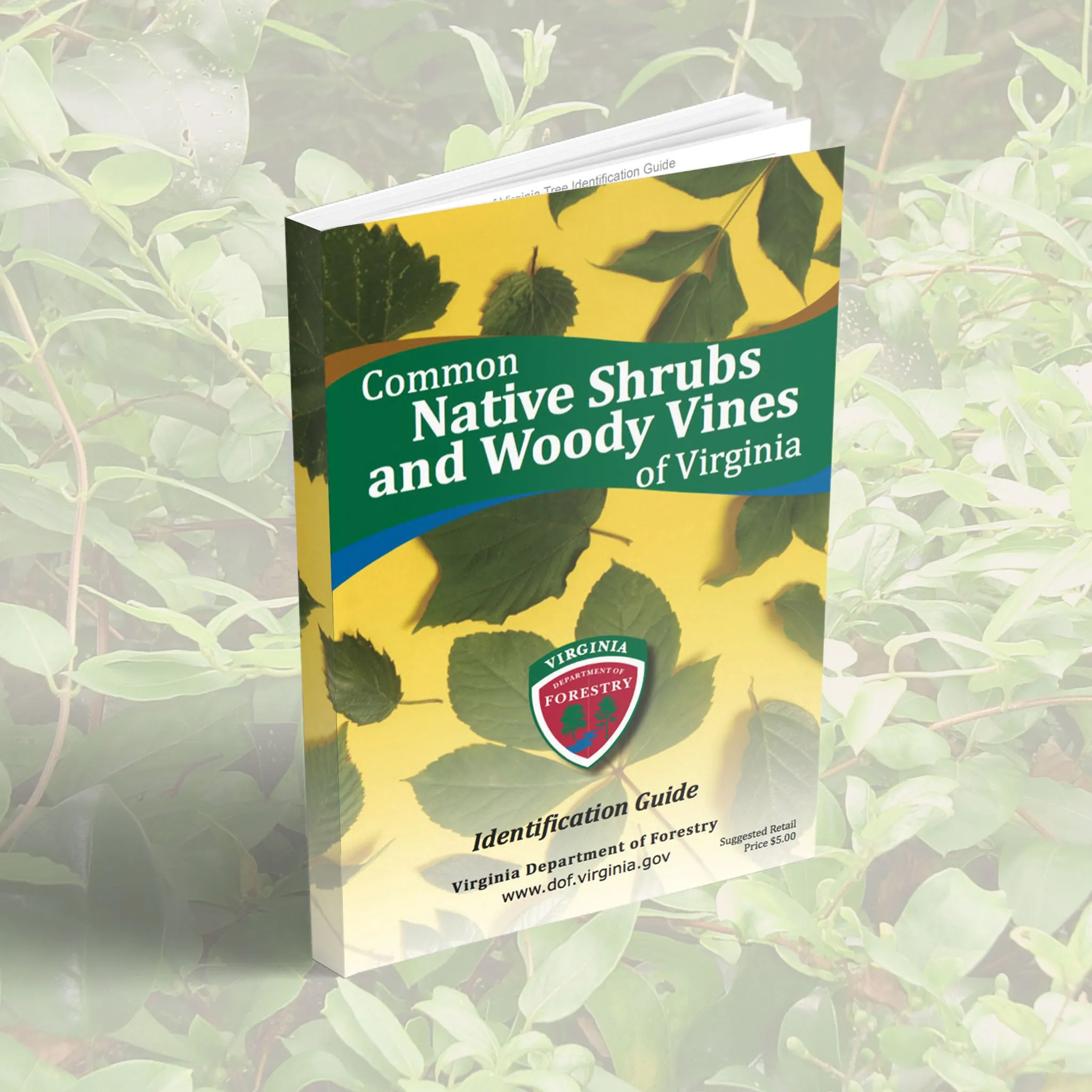 Common Native Shrubs and Woody Vines of Virginia