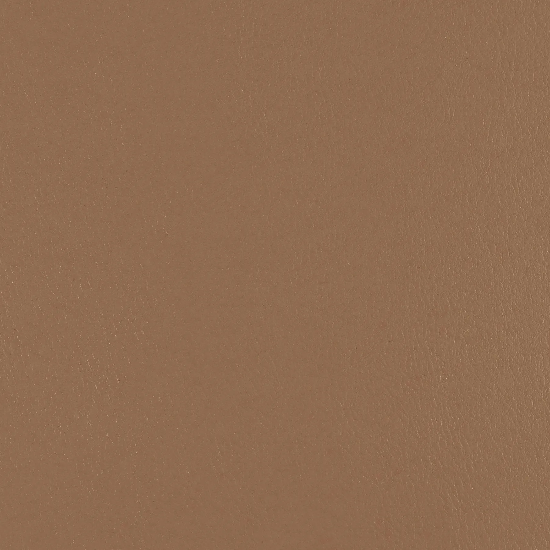 Fine Grain - Warm Earth - 4046 - 01 - Half Yard