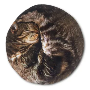 Lap Cat Hot Water Bottle