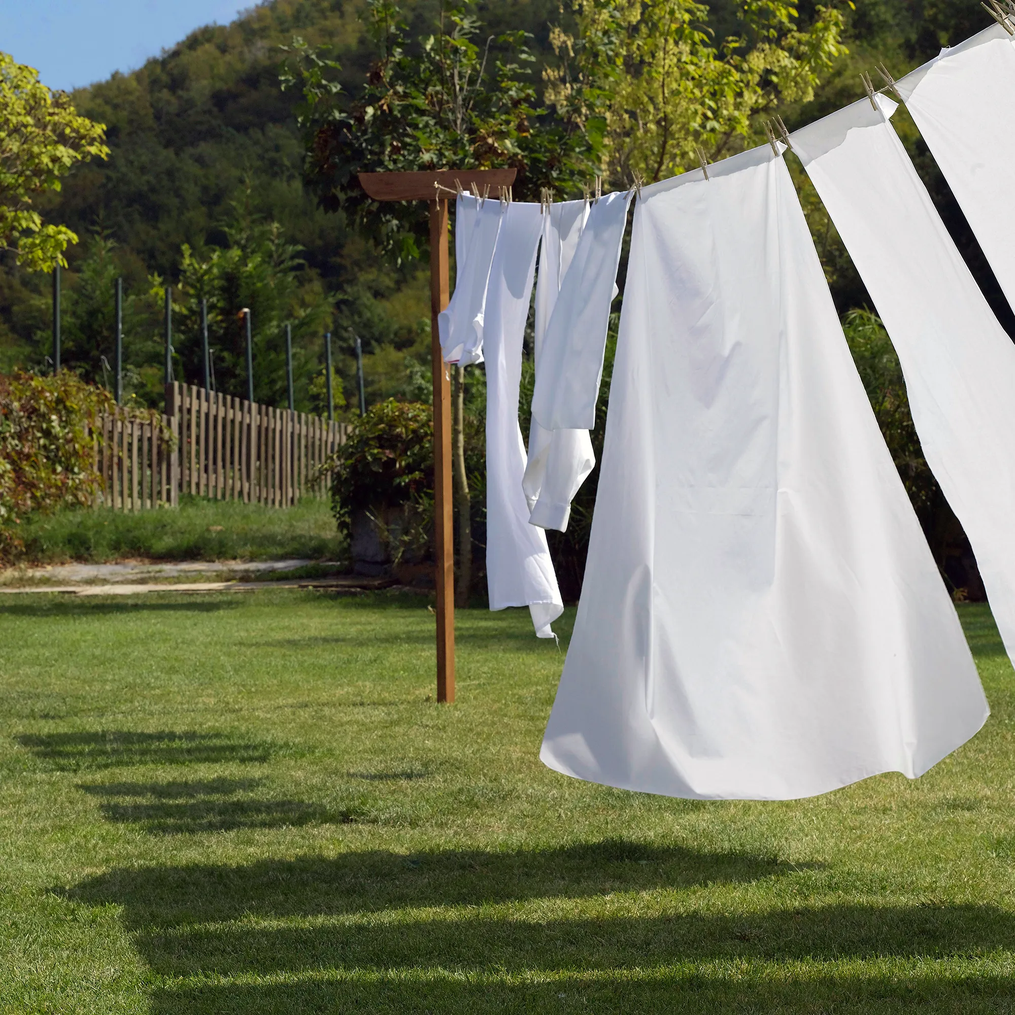 Linen
