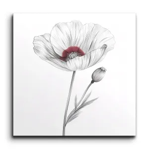 Poppy Elegance: Delicate Floral Art