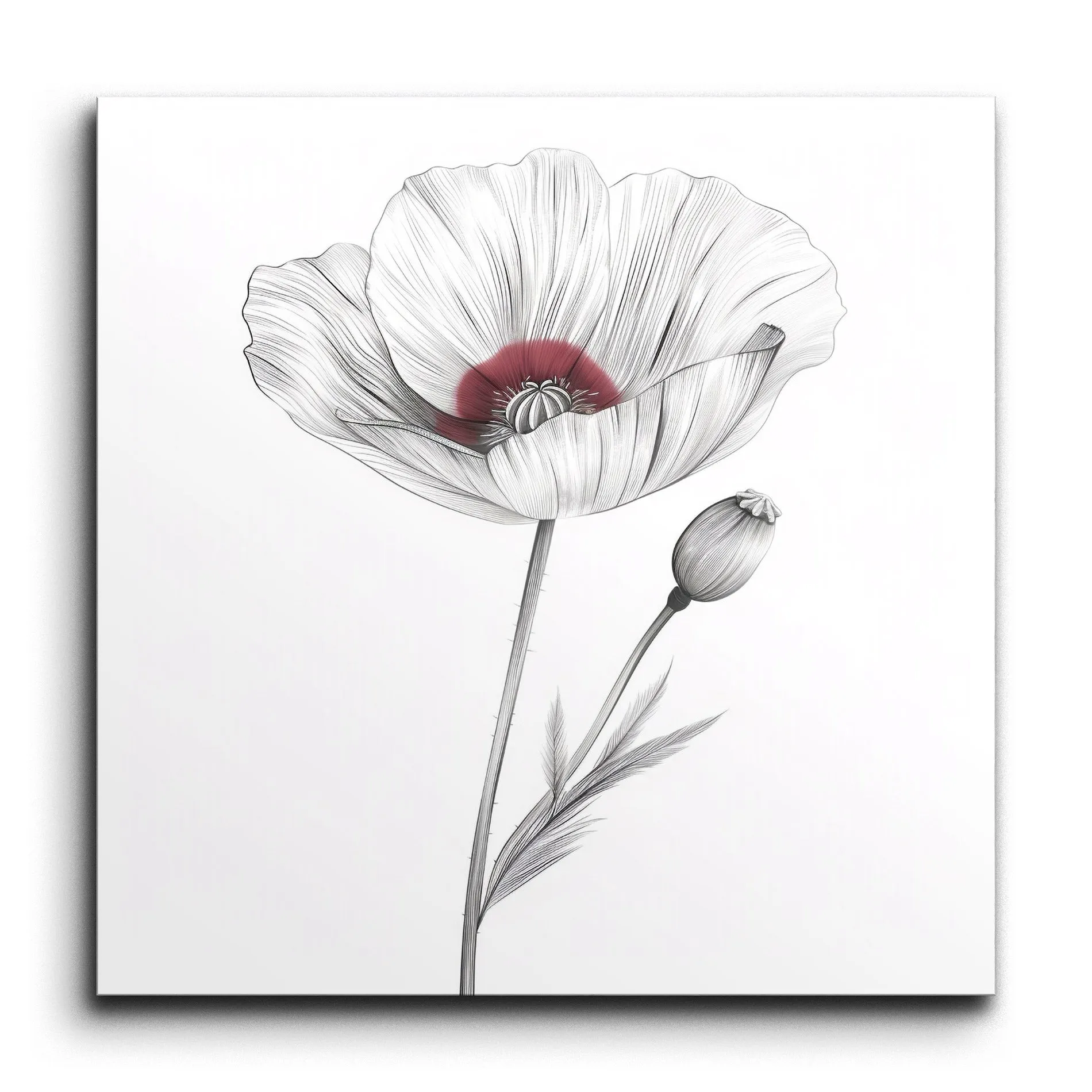 Poppy Elegance: Delicate Floral Art