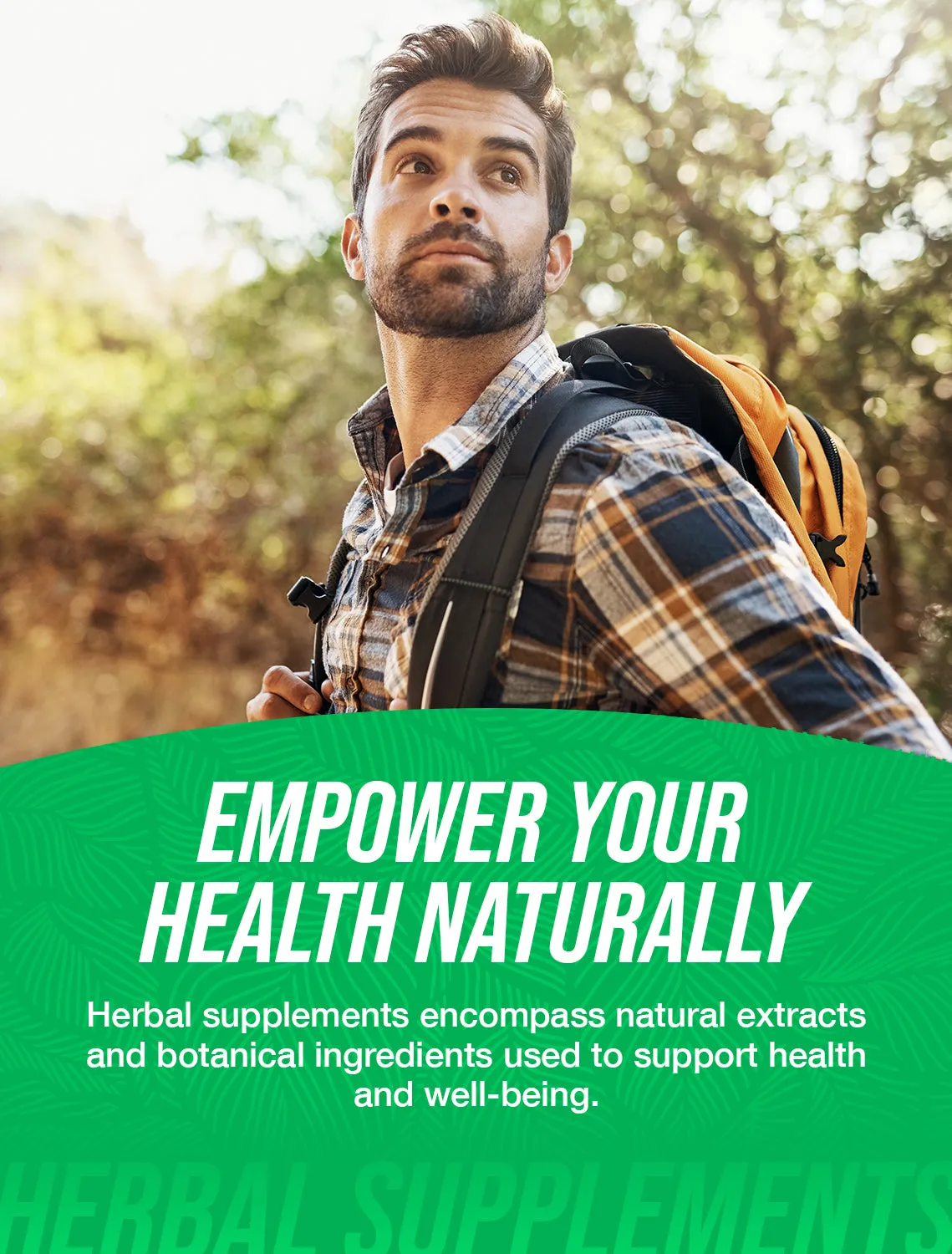 Pygeum Africanum Extract Powder