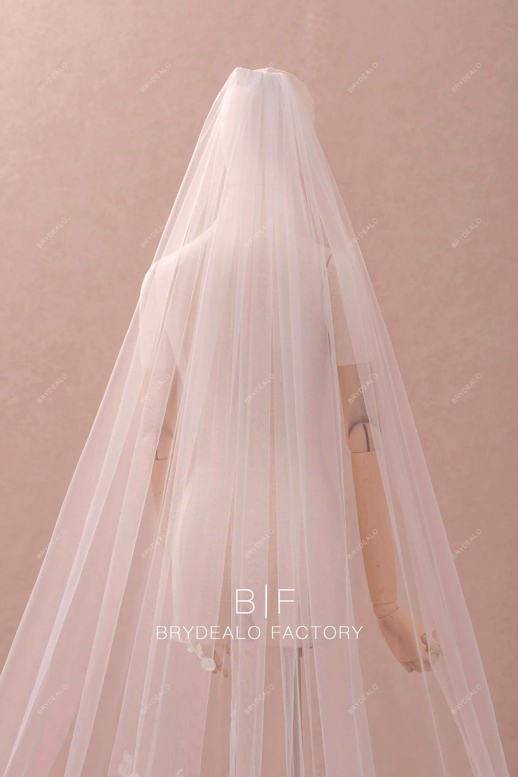 Romantic Flower Lace Appliques Scattered Cathedral Length Bridal Veil