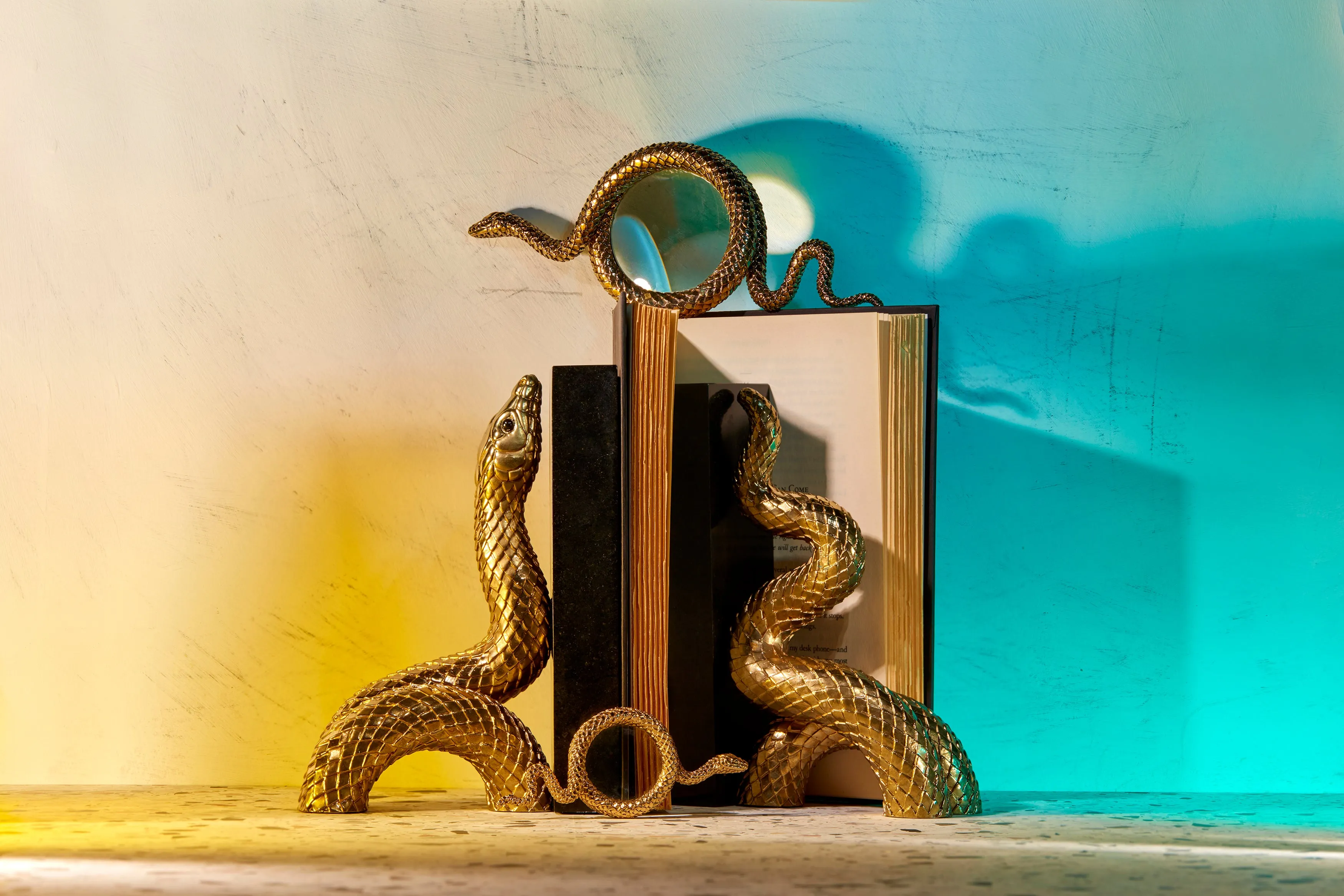 Snake Bookend Set (2 Piece Set)