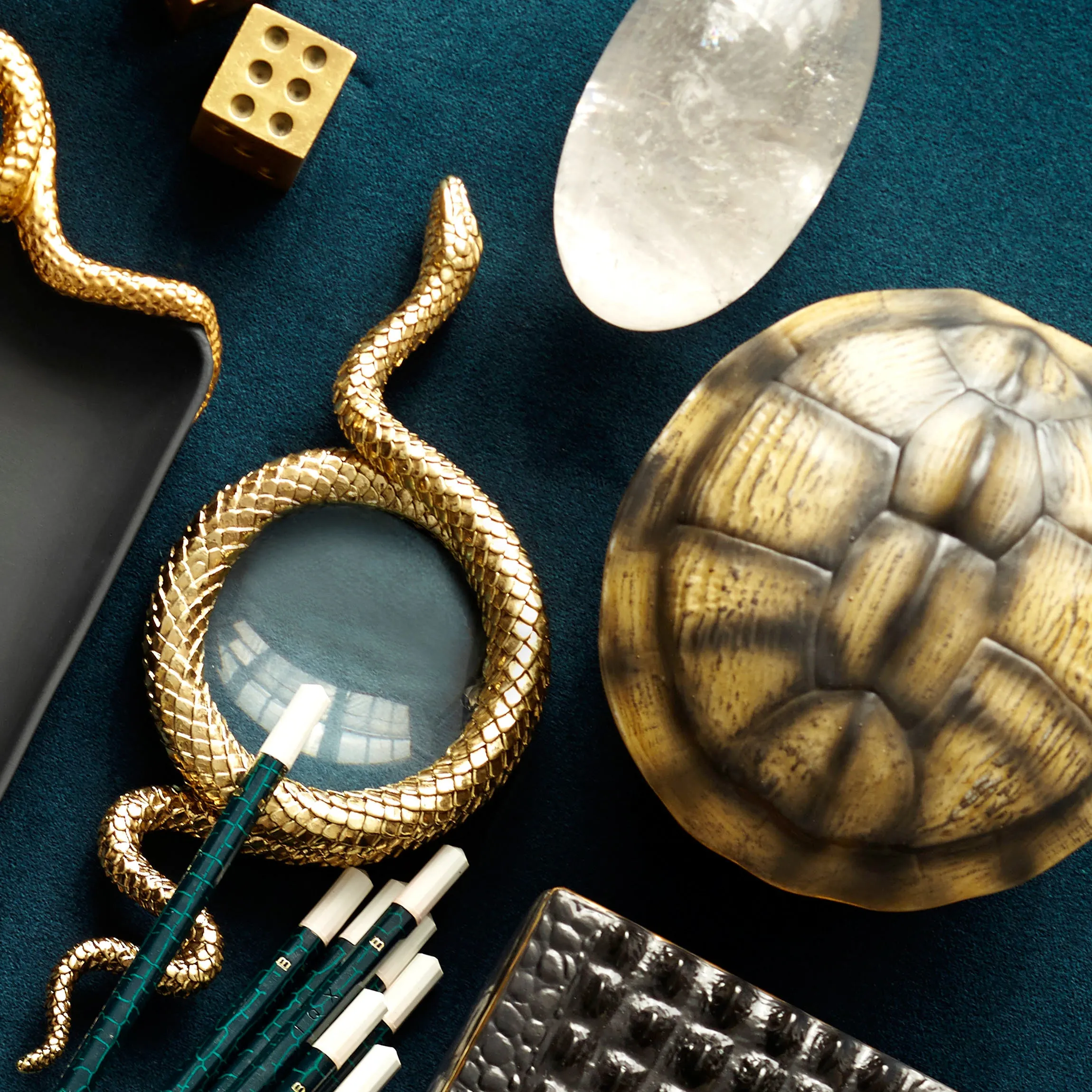 Snake Magnifying Glass - Large